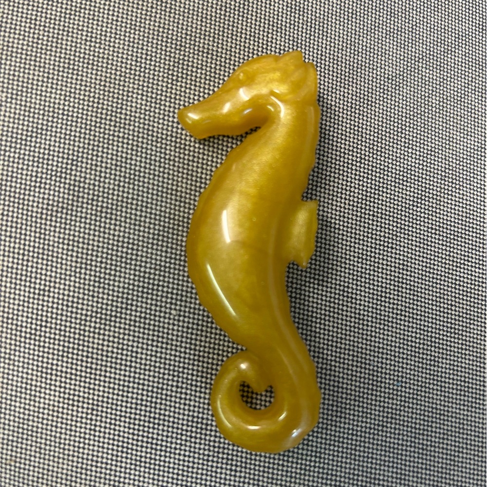 Ann Taylor sea horse pin - adorable !